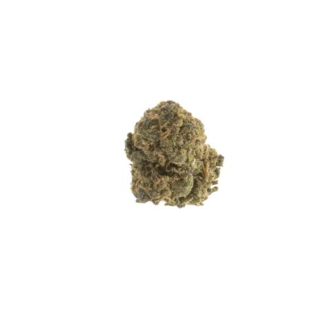 Cannatonic Small Bud Variété Cbd à 1 Euro So Hempy Montpellier