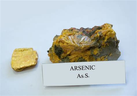 taxidermy  arsenic