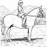 Horse Coloring Color Sheet Pages Equestrian Derby Printable Kids Stall Print Book Info Resources sketch template