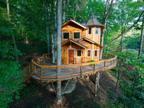 vacation rentals  epic treehouses  rent   night money