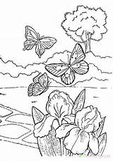 Frühling Ausmalbilder Kolorowanki Czas Wiosenny Adults Dzieci Fruhling Malen Bestcoloringpagesforkids sketch template