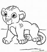 Lion Baby King Coloring Simba Pages Printable Online Cartoons Color sketch template