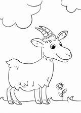 Goat Koza Cabras Capre Goats Kolorowanka Dibujar Mammiferi Cabra sketch template