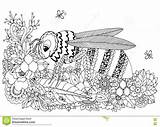 Coloring Vector Illustration Tangle Doodle Stress Wasp Zen Adults Anti Flowers Drawing Book Dreamstime Preview sketch template