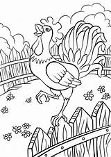 Cock Coloring Pages из все категории раскраски Birds sketch template