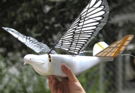 china launches spy bird drone  boost government surveillance aero vison drones