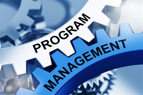 defining terms program management  project management