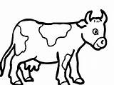 Coloring Dairy Cow Popular sketch template