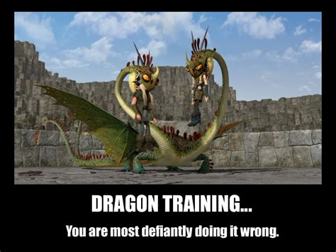 dragon training  fn ng  rin  deviantart