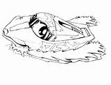 Boat Coloring Pages Speed Kids Printable sketch template