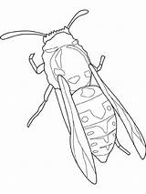 Insects Yellow Jacket Coloring Pages Wasp Clipart Big Printable Kids Pages2color Fun Insecten Insect Colouring sketch template