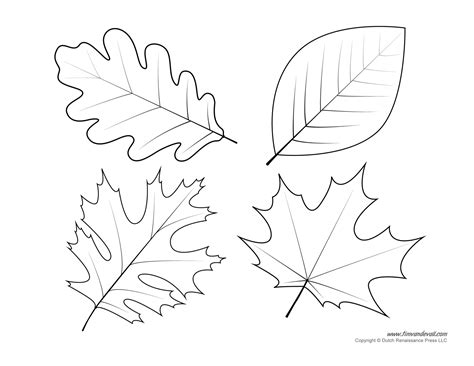 leaf templates leaf coloring pages  kids leaf printables tims