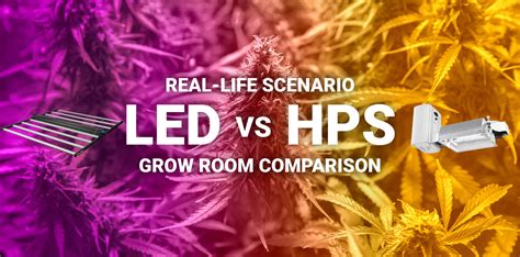 comparing led  hps grow room light costs volt grow