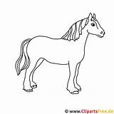 Pferd Pferde Malvorlage Malvorlagen Pferdekopf Erschwinglich Luxus Zeichnungen Kinderbilder Titel sketch template