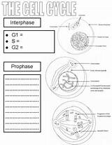  sketch template