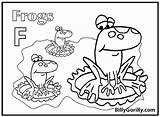 Frogs Activities Coloring Learning Frog Color Toads Print sketch template