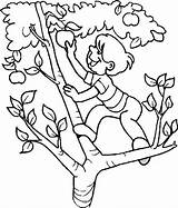 Climb Tree Coloring Boy Apple Color Kids sketch template