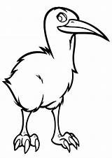 Kiwi Bird Coloring Pages sketch template