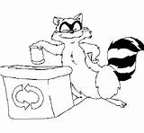 Coloring Recycling Roller Toilet Raccoon Paper sketch template