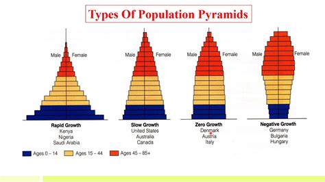 Population Pyramid Age Structure Types Of Population