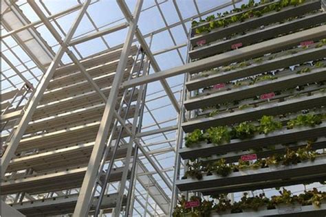 vertical farm opens  singapore wired