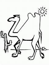 Animierte Kamele Kategorien sketch template