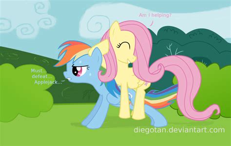 Rainbow Dash And Fluttershy Training Wallpaper By Diegotan