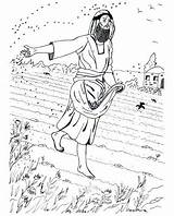 Sower Parable Coloring Getcolorings Printable Print Pages sketch template