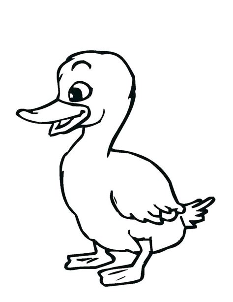 baby duck drawing    clipartmag
