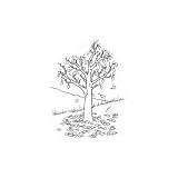 Alberi Disegni sketch template