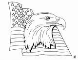 Flying Eagle Coloring Pages Bald Eagles Getcolorings Printable Hi Print sketch template