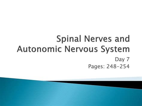 ppt spinal nerves and autonomic nervous system