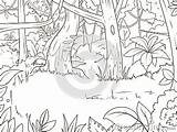 Foresta Giungla Fumetto Colorare sketch template