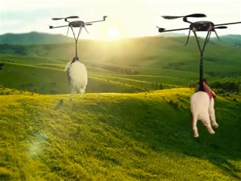 dog delivery  drone isnt      order puppies  uber today  canada