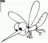 Mosquito Dengue Moustique Dibujos Mosquitos Atividades Joga Dzieci Muskiet Transmissor Ensinandocomcarinho Insecte Dieren Insecten Kleurplaten Kleine Ensinando Carinho Aedes Aegypti sketch template