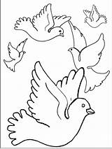 Coloring Bird Pages Printable Pigeon Preschool sketch template