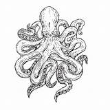 Kraken Octopus Trp Gozilla sketch template