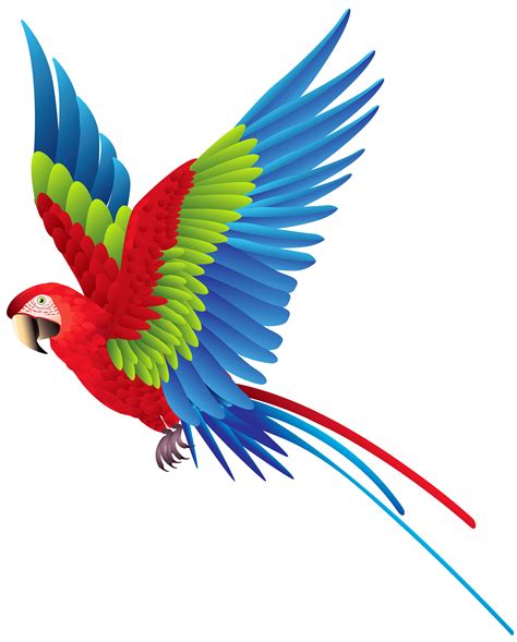 flying parrot clipart  getdrawings