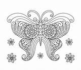 Butterfly Coloring Vecteezy Vector Adult Book sketch template