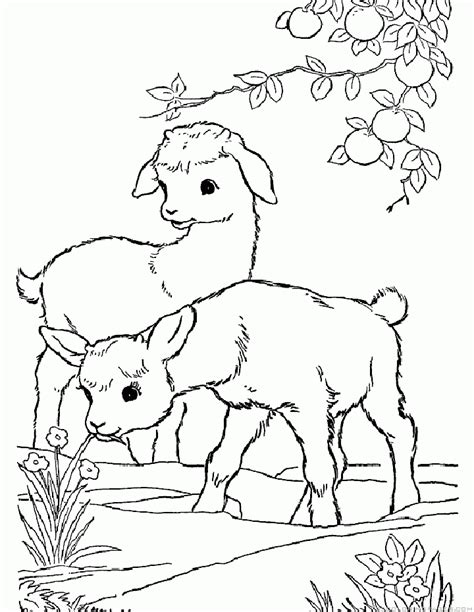 goat coloring pages part