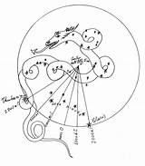 Constellation Drawing Draco Getdrawings sketch template