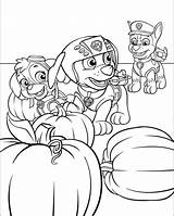 Coloring Paw Patrol Pages Halloween Thanksgiving Zuma Kids Print Skye Chase Printable Colouring Sheets Fall Color Marshall Bestcoloringpagesforkids Jr Nick sketch template