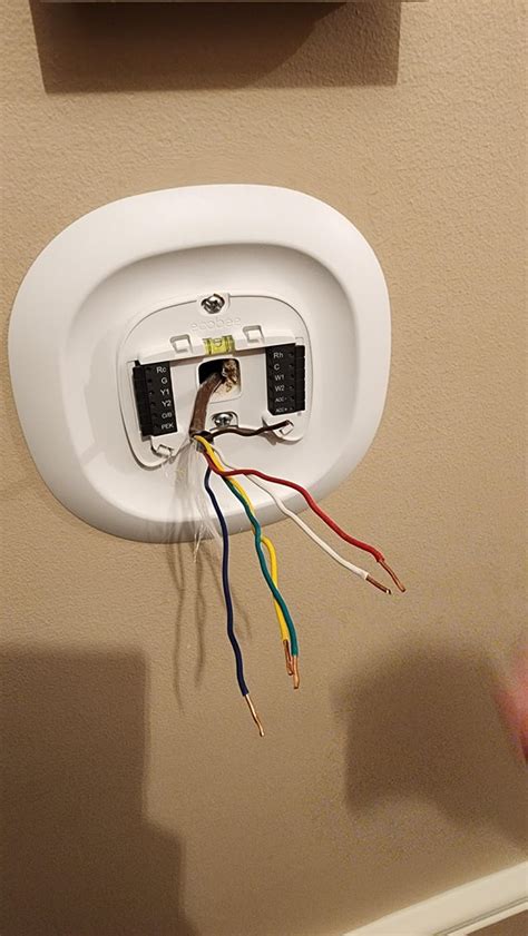ecobee thermostat compatibility check  wires recobee