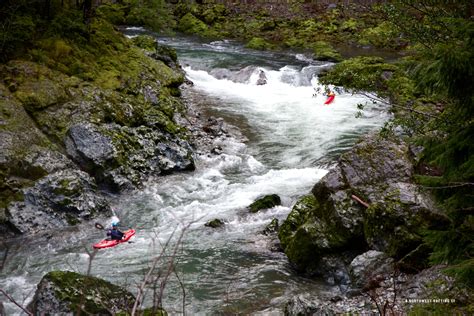 kayaking  elk river  oregon northwest rafting company