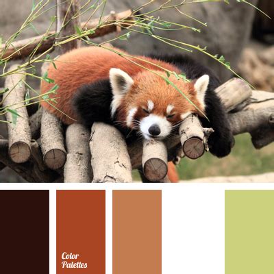 colour   small panda color palette ideas