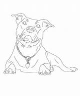 Pitbull Coloring Pages Printable Azcoloring Via sketch template