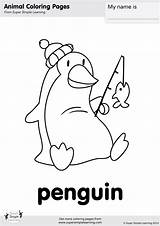 Coloring Simple Super Supersimple Penguin Para Colorear Songs Pages Animals sketch template