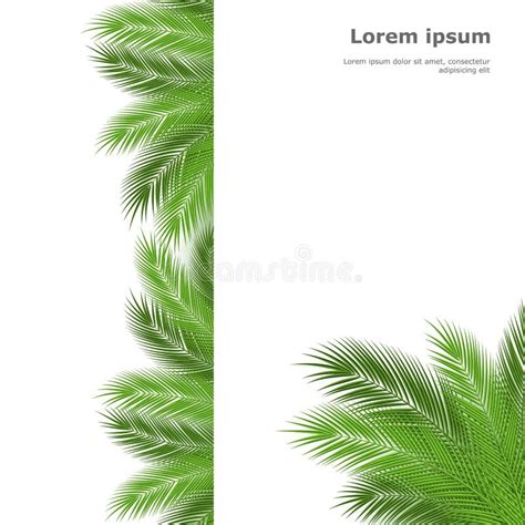 palm template stock vector illustration  nature vegetation