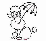 Poodle Embroidery sketch template