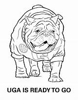 Bulldogs Georgiadogs sketch template
